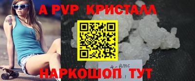 спиды Гай