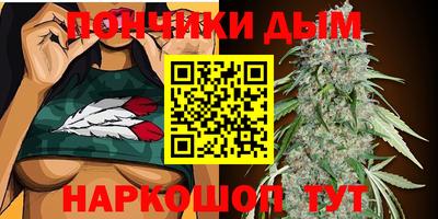 спиды Гатчина