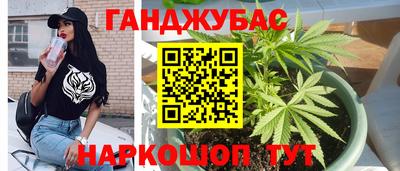 гидра Гагарин