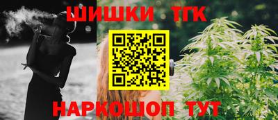 спиды Гай