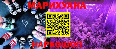спиды Гай