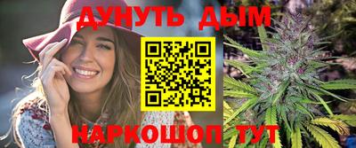 спиды Гай