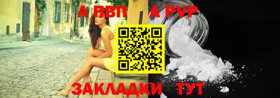 спиды Гай