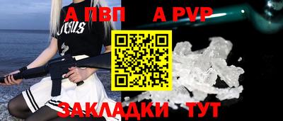 спиды Гай