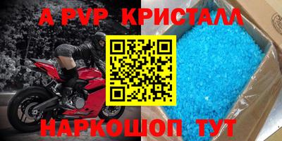 спиды Гатчина