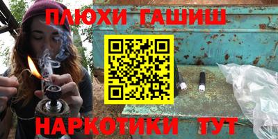 спиды Гай