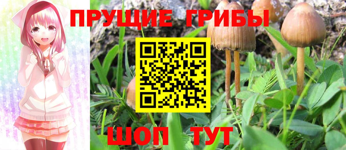 Галлюциногенные грибы мухоморы Заречный