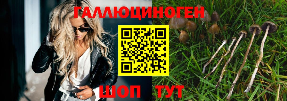 Заречный  Псилоцибиновые грибы MAGIC MUSHROOMS  где можно купить   Вход с VPN 